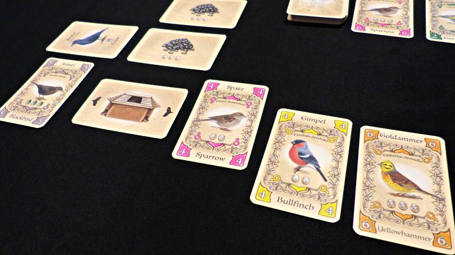 Piepmatz Little Songbirds