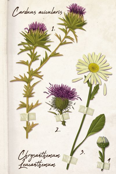 In the Palm of Your Hand - Good Games