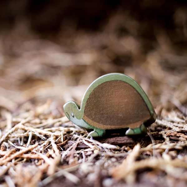 Photosynthesis: Under the Moonlight - Good Games