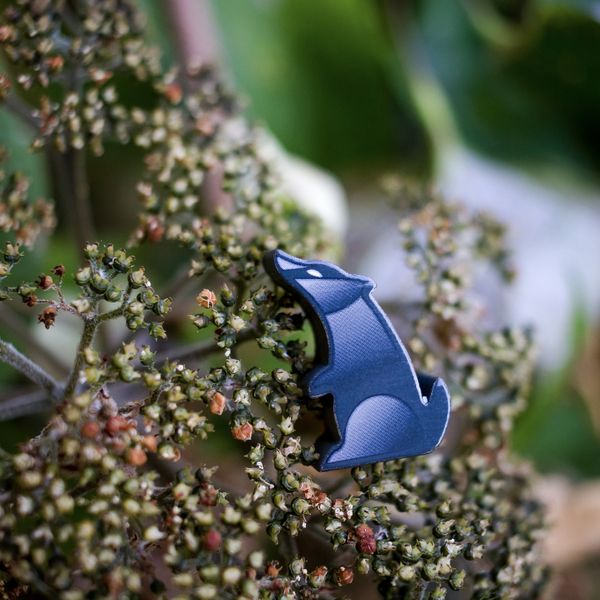 Photosynthesis: Under the Moonlight