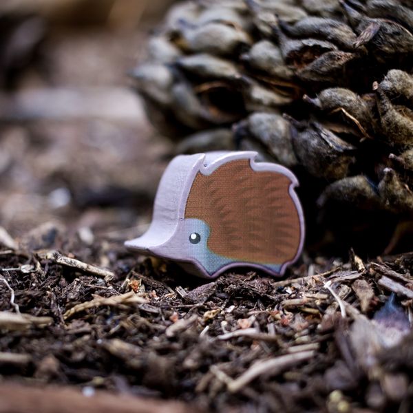 Photosynthesis: Under the Moonlight - Good Games