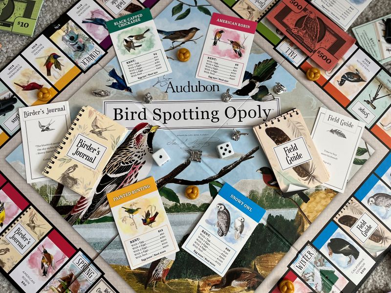 Audobon Bird Spotting-Opoly - Good Games