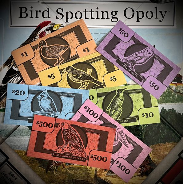Audobon Bird Spotting-Opoly