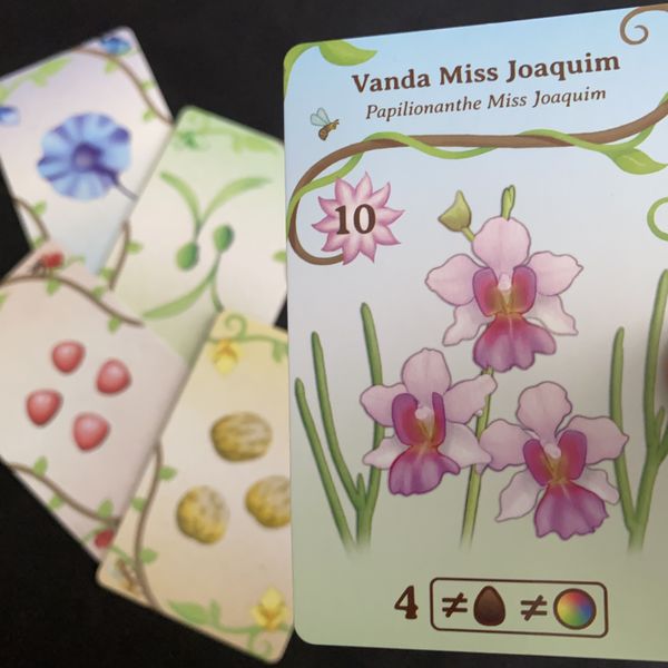 Oh My Orchids! - Good Games