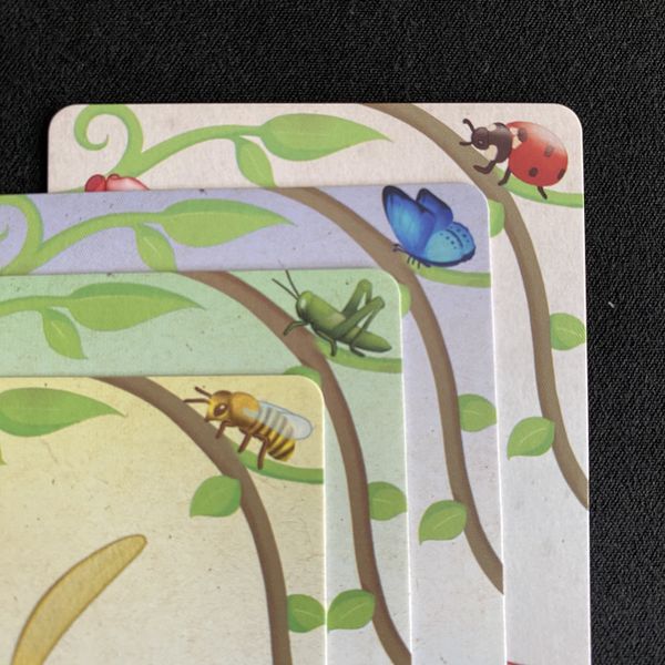Oh My Orchids! - Good Games