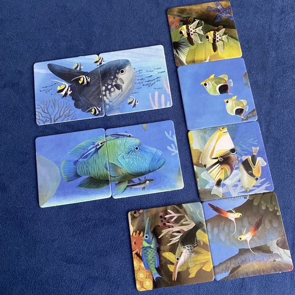 Reef Rescue - Good Games