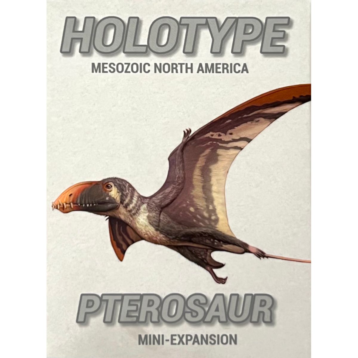 Holotype - Pterosaur Mini-expansion - Good Games