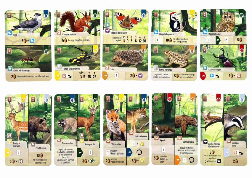 Forest Shuffle Woodland Edge Expansion