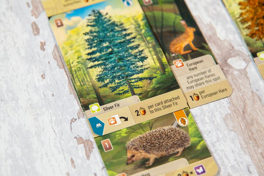 Forest Shuffle Woodland Edge Expansion