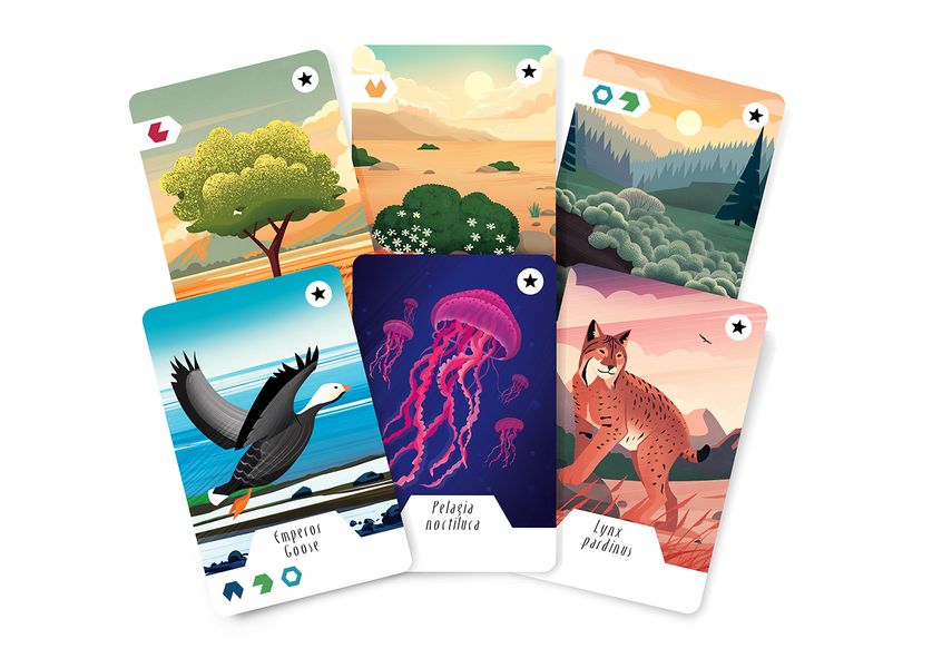 Ecosfera Expansion - Good Games
