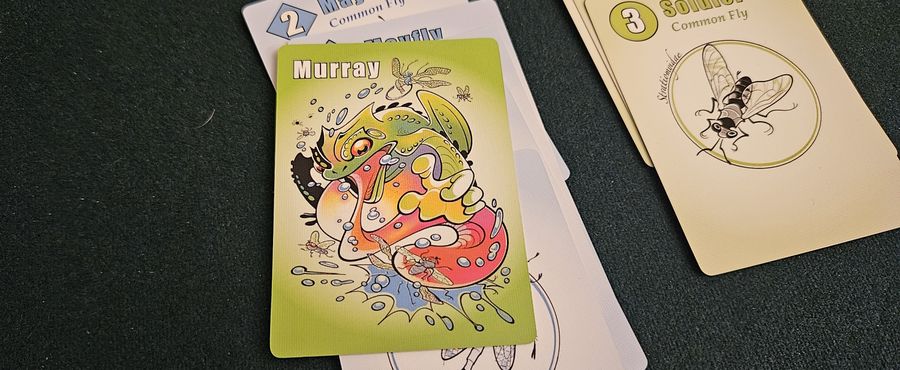 Murray the A**hole Frog