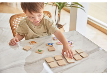 PlanToys - Animals Matching