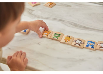 PlanToys - Animals Matching