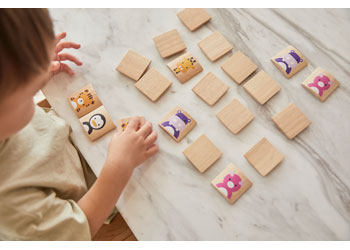 PlanToys - Animals Matching