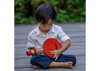 PlanToys - Banjo