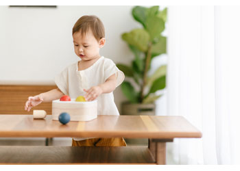 PlanToys - Punch & Drop Bin