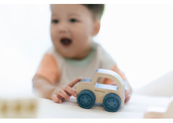 PlanToys - Timber Trail EV