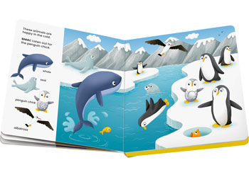 Play+ Shh...Who's there? Baby Animals
