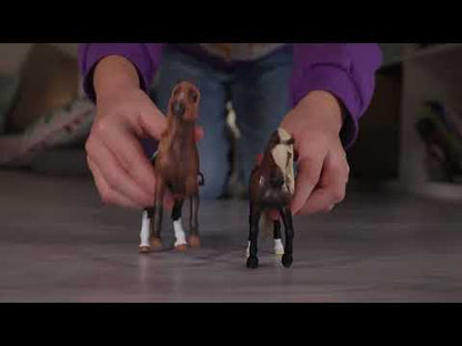 Schleich - Horse Club Starter Set