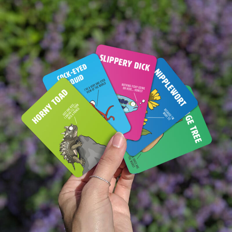 Don&#39;t Be a Dik Dik game spreaded cards on hand