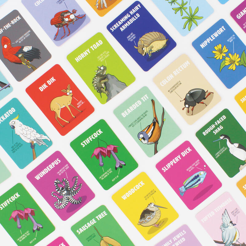Don&#39;t Be a Dik Dik game setup showing cards
