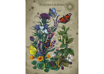 Ravensburger - Lifecircle Butterfly Puzzle 1000 Pieces