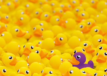Ravensburger - Rubber Ducks Challenge Puzzle 1000 Pieces