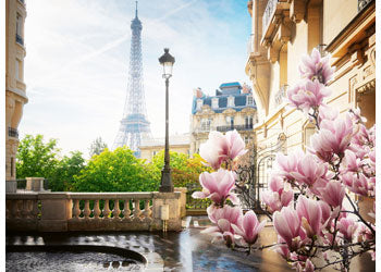 Ravensburger - Springtime in Paris Puzzle 500 Pieces