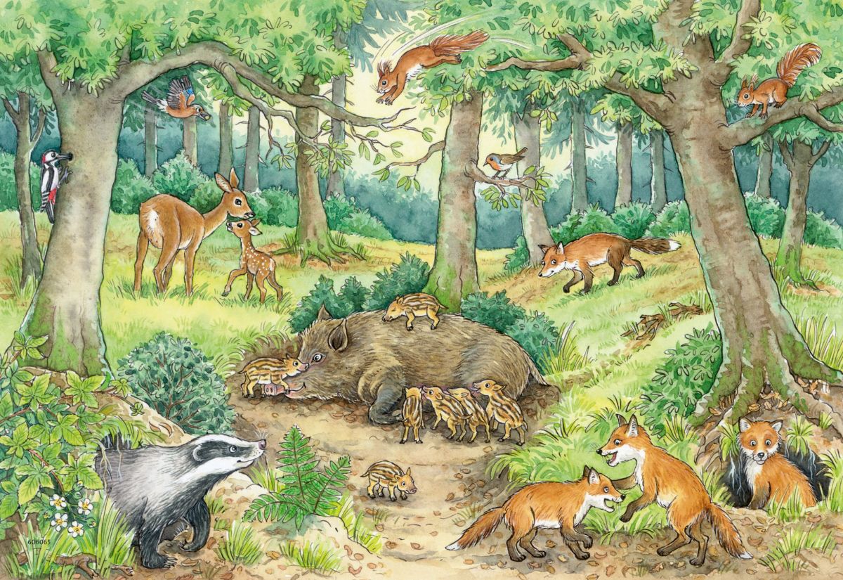 Ravensburger - Animals in the Forest &amp; Meadow 2x12 Piece Jigsaw
