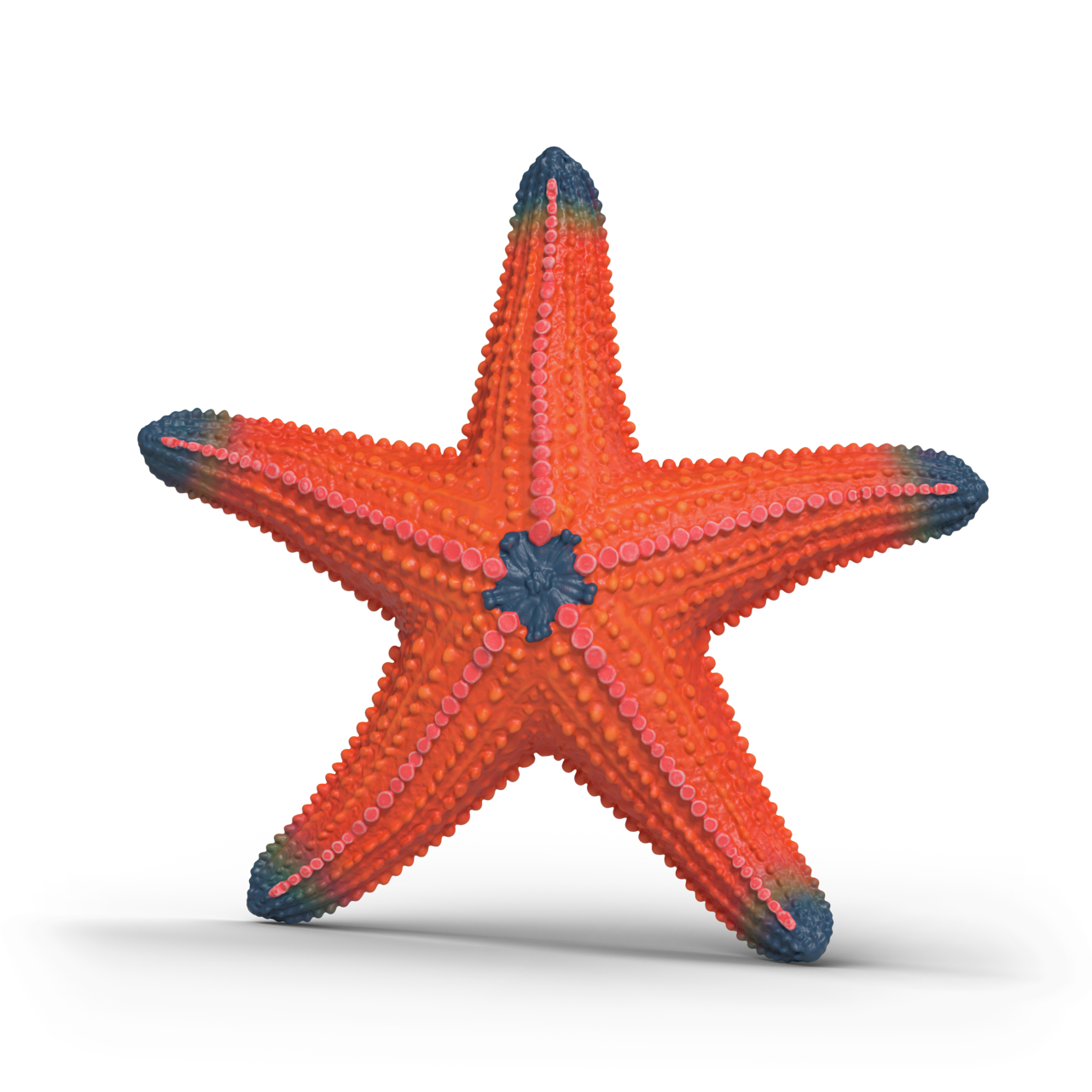 Schleich - Starfish Color Change