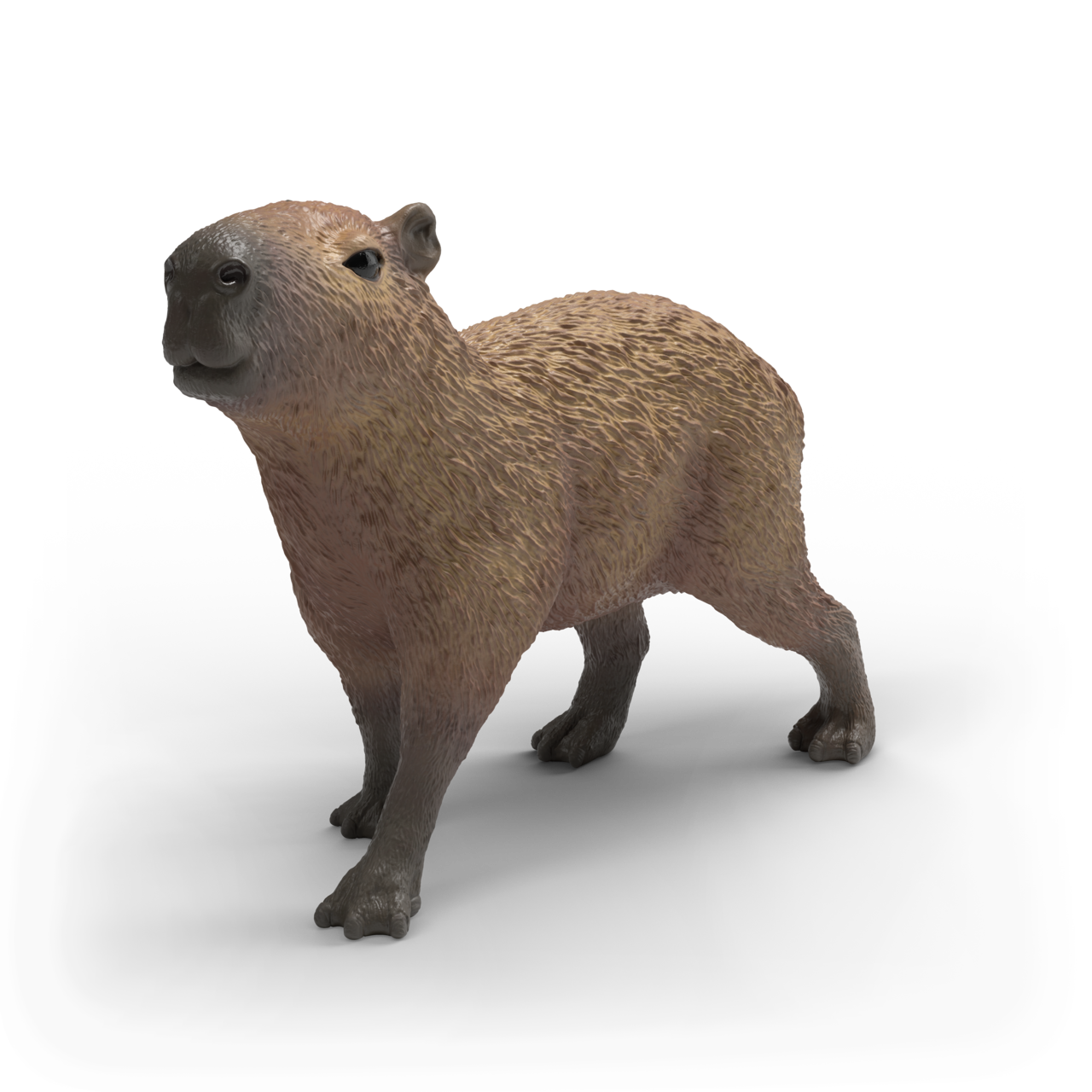 Schleich - Capybara