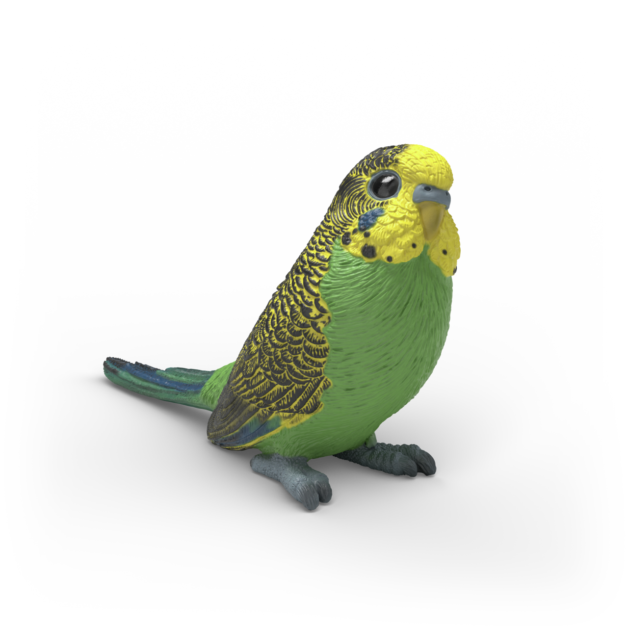 Schleich - Budgie