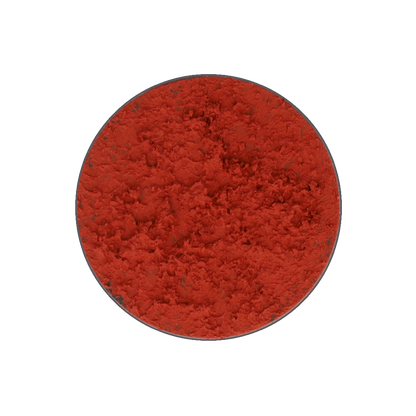 A circular, reddish-orange surface with a rough, granular texture and a dark outer rim.