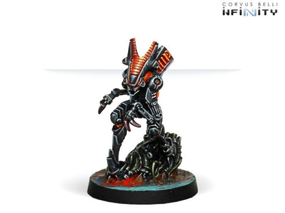 Infinity - Avatar - Good Games