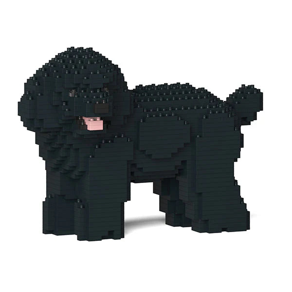 Jekca - Toy Poodle - 05s - M02 - Good Games