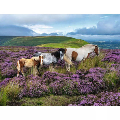 Ravensburger Wild Horses in the Heather 2000 Piece Jigsaw Puzzle