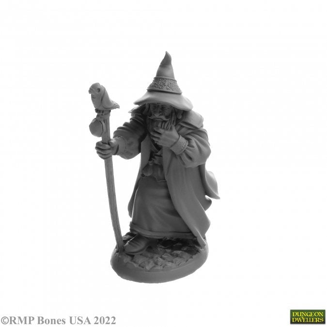Reaper: Dungeon Dwellers: Landol Griwsold Human Wizard