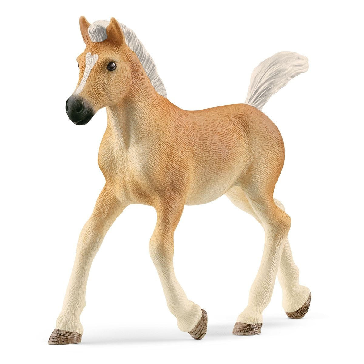 Schleich - Haflinger Foal (NEW) - Good Games