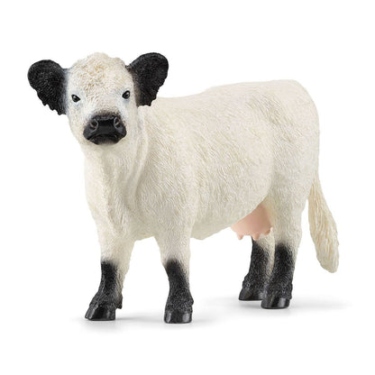 Schleich - Galloway Cow - Good Games