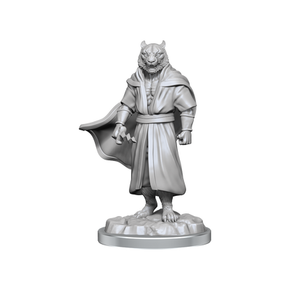 Critical Role Unpainted Miniatures Male Human Sorcerer Merchant & Tiger Demon - Good Games