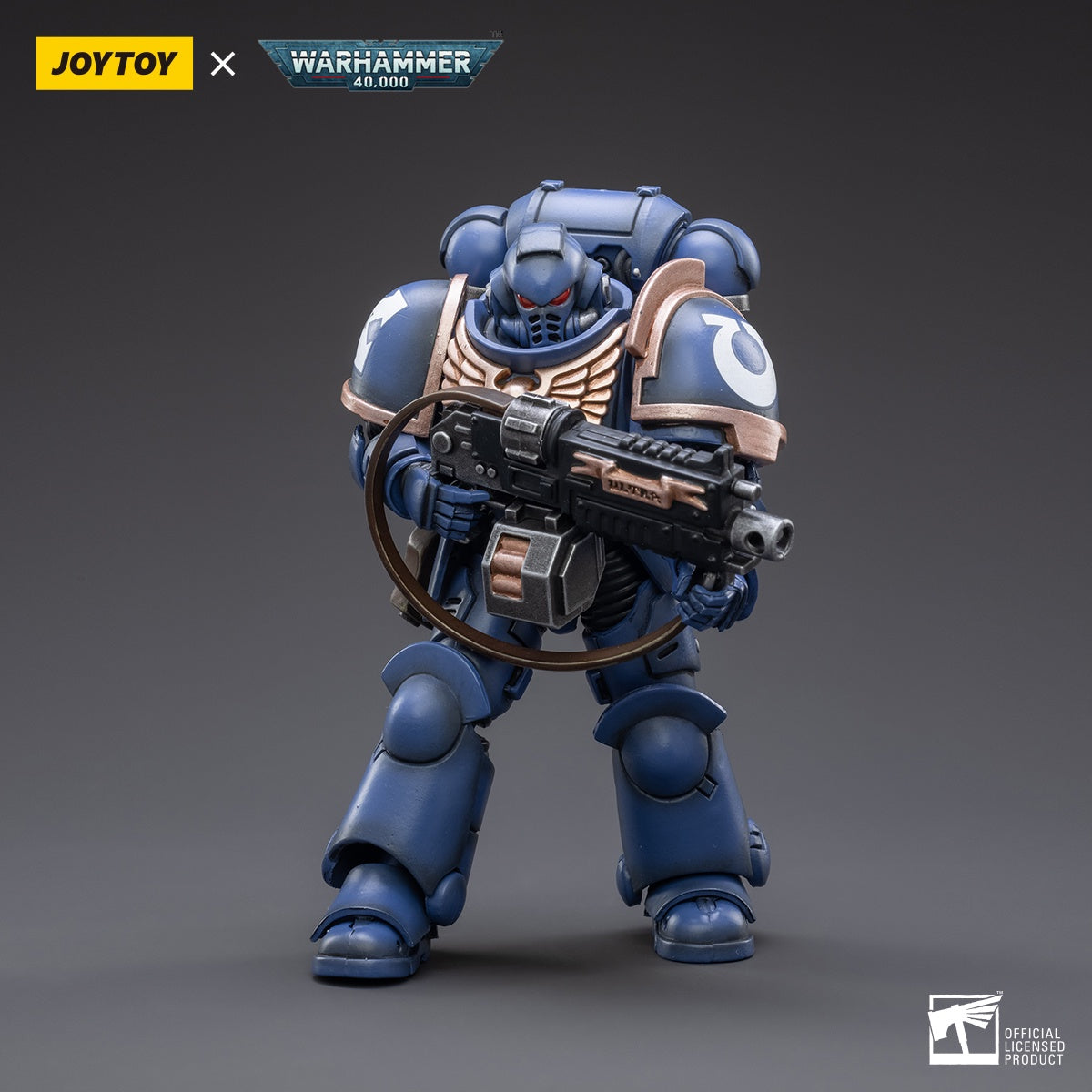 Warhammer Collectibles: 1/18 Scale Space Marines Ultramarines Outriders Brother Catonus