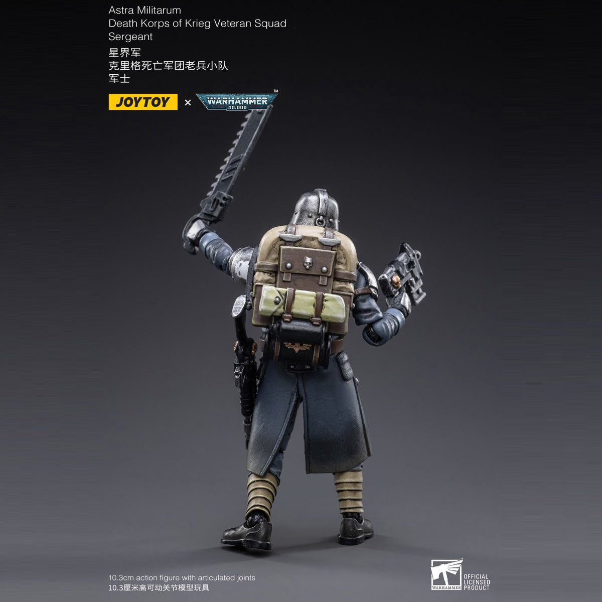 Warhammer Collectibles: 1/18 Scale Death Korps of Krieg Veteran Squad Sergeant