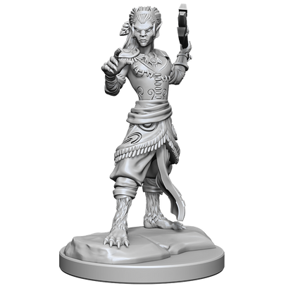 Dungeons & Dragons Nolzurs Marvelous Miniatures Shifter Fighter - Good Games