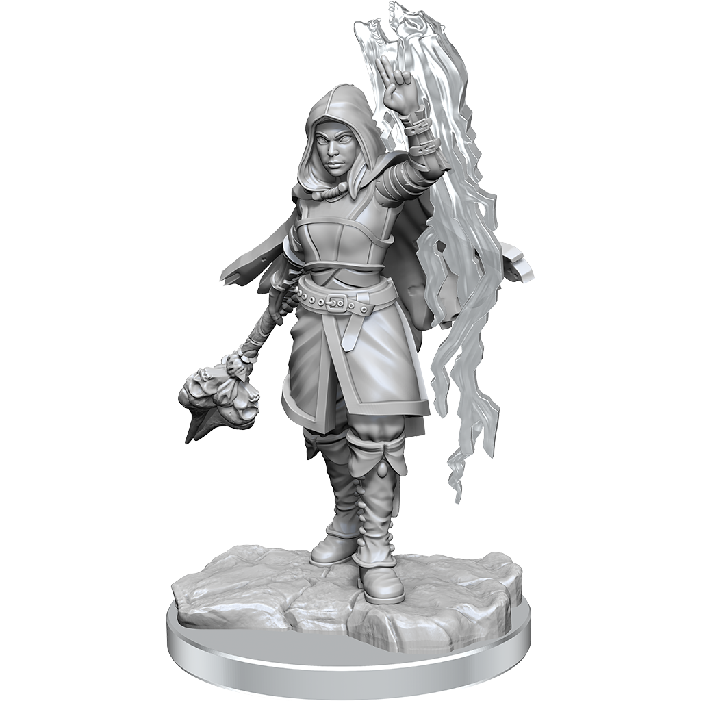 Dungeons & Dragons Nolzurs Marvelous Miniatures Half-Elf Warlock - Good Games