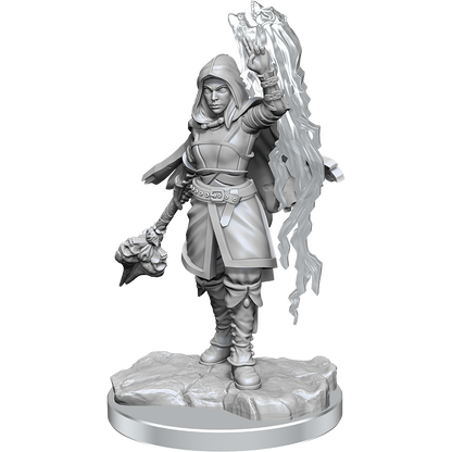 Dungeons & Dragons Nolzurs Marvelous Miniatures Half-Elf Warlock - Good Games