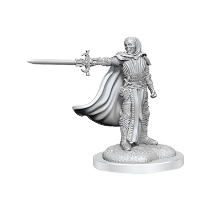 Dungeons & Dragons Nolzurs Marvelous Miniatures Death Knights - Good Games