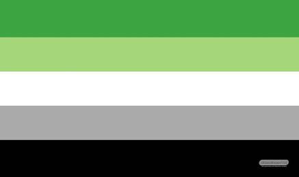Gamermats - Aromantic Flag TCG Sized Playmat - Good Games