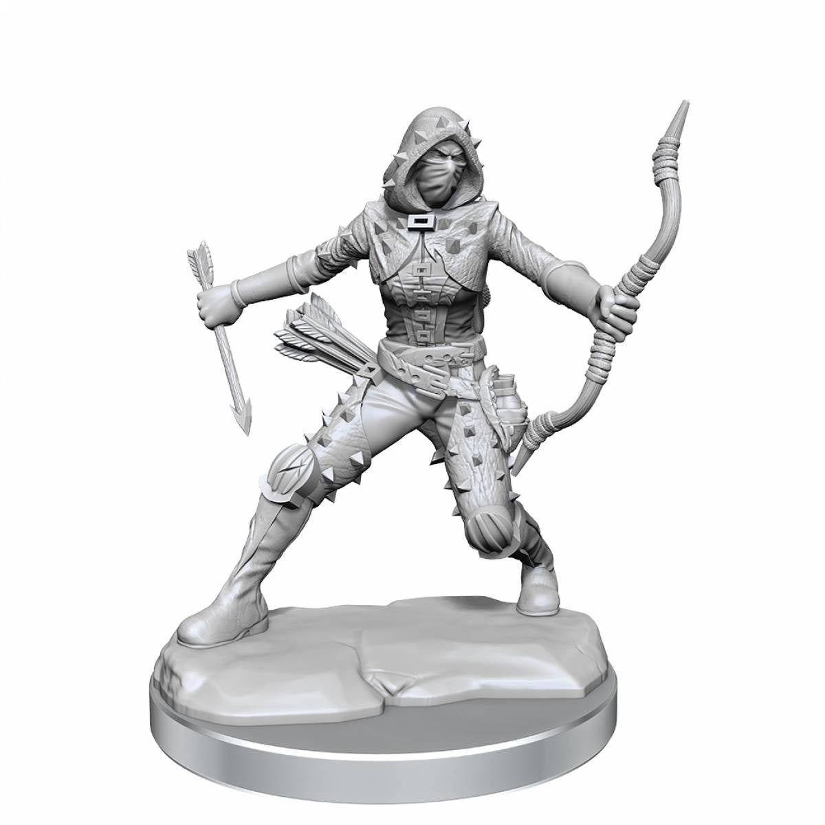 Dungeons &amp; Dragons Frameworks Human Rogue Female