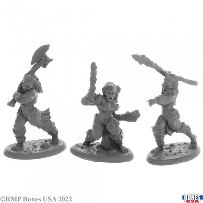 Reaper Bones Usa - Jade Fire Warriors - 3 - Good Games