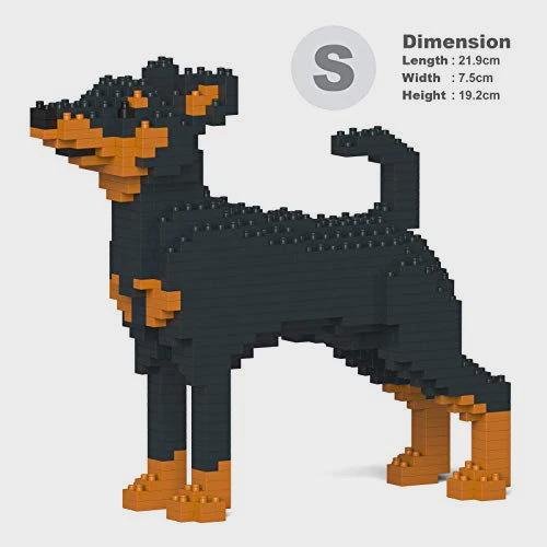 Jekca - Miniature Pinscher (01S-M01)